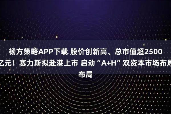 杨方策略APP下载 股价创新高、总市值超2500亿元！赛力斯拟赴港上市 启动“A+H”双资本市场布局