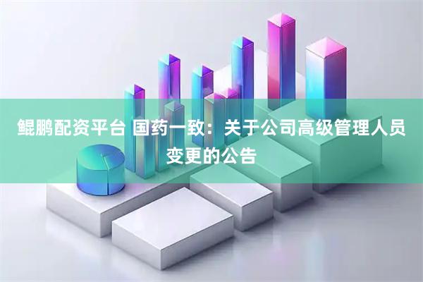 鲲鹏配资平台 国药一致：关于公司高级管理人员变更的公告